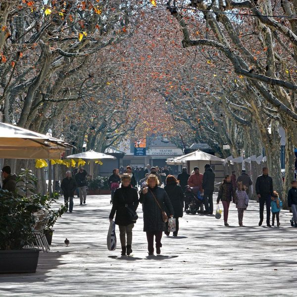 Manresa.- Passeig Pere III a l'hivern (1/2015)