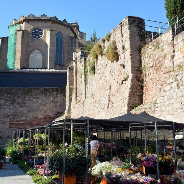 Manresa.- Muralla construïda entre els S. X i XIV que tenia vuit portals. Tram que delimita la plaça d’Europa reforçada amb contraforts (7/2014)