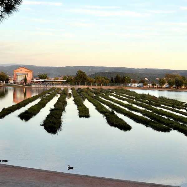 Manresa.- Parc de l'Agulla, es un llac artificial de l'any 1974 per garantir l'abastament d'aigua a Manresa (10/2013)
