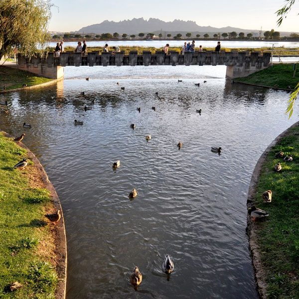 Manresa.- Parc de l'Agulla, es un llac artificial de l'any 1974 per garantir l'abastament d'aigua a Manresa (10/2013)