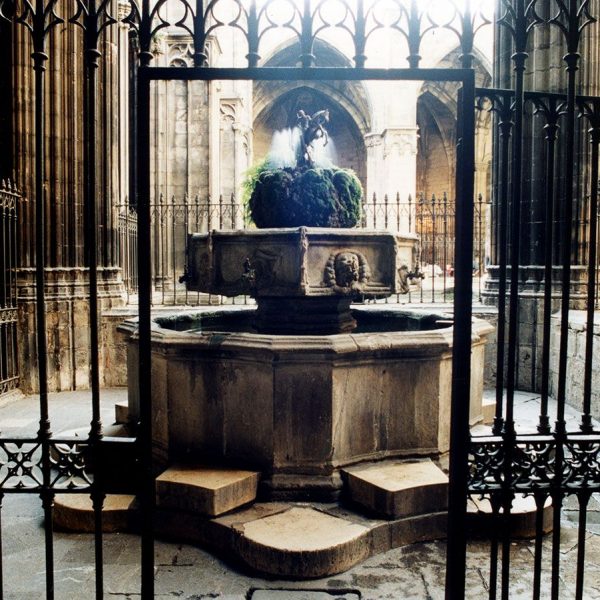 Barcelona.- Catedral de la Santa Creu. Brollador de Sant Jordi del S. XV al claustre. La imatge del Sant va ser feta per Emili Colom el 1970 (10/2002)