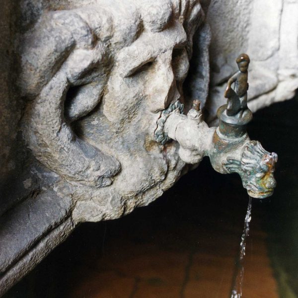 Barcelona.- Catedral de la Santa Creu. Brollador de Sant Jordi del S. XV al claustre. (3/2000)