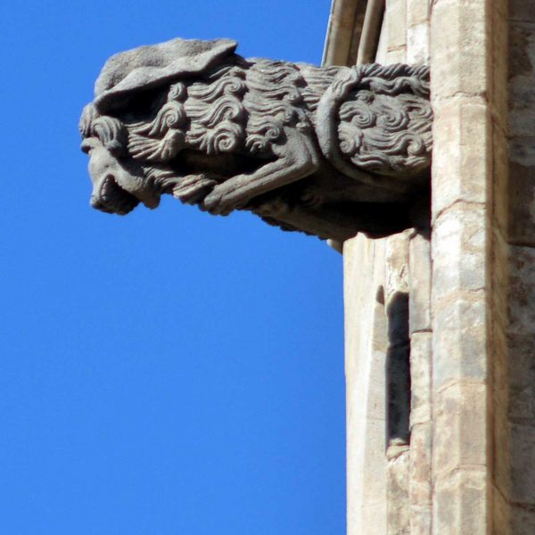 Barcelona.-Església de Santa Maria del Mar. Vista d'una de les gàrgoles del contrafort de la façana principal (9/2010)