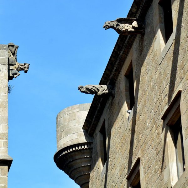 Barcelona.- Palau del Lloctinent, de planta rectangular construït entre 1549/1558 per Ordre de Carles V. Gàrgoles enfrontades a les de la Catedral (4/2015)