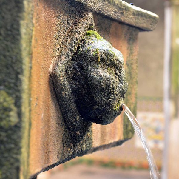 Barcelona.- Casa de l'Ardiaca, forma un conjunt amb la casa del Degà - Detall del brollador del pati interior de concepció gòtica (11/2014)