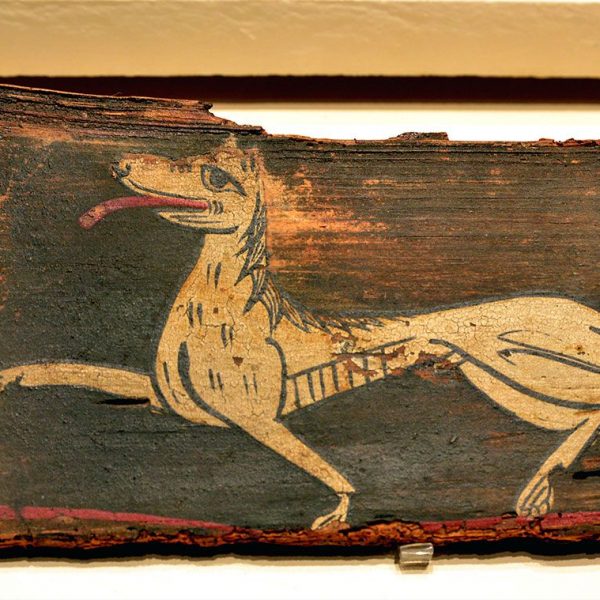 Montblanc.- Església de Sant Miquel. Plafons del teginat del sostre expossats al Museu Diocesà de tarragona (8/2015)