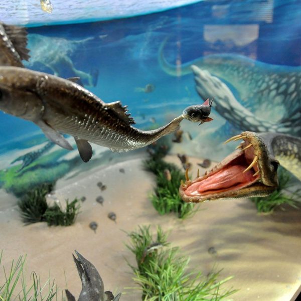 Montblanc.- Centre d’Interpretació de l’Art Rupestre. Vista d’un dels panels introductoris de l’era de l'art rupestre (4/2014)