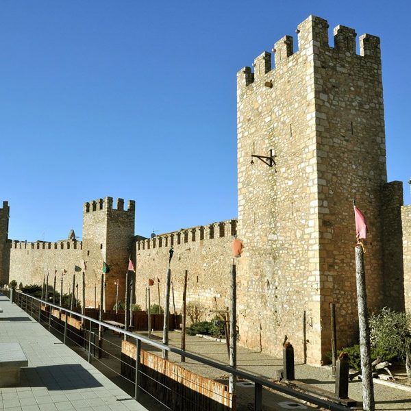 Montblanc. – Recinte fortificat format per una muralla emmerletada de 31 torres i cinc portals (3/2014)