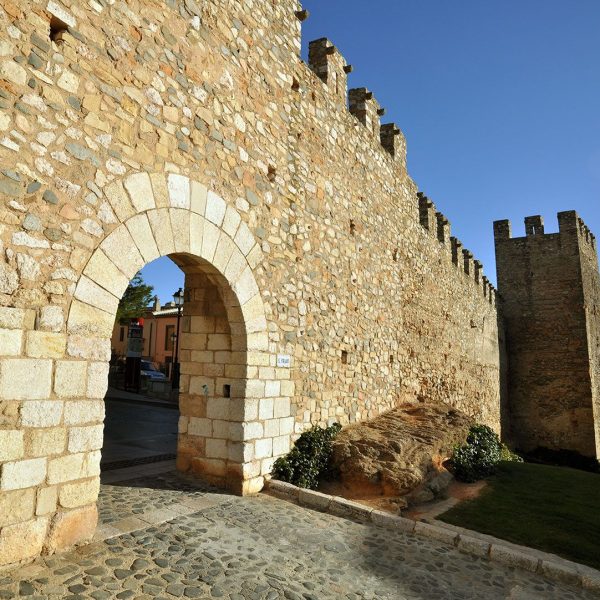 Montblanc. – Porta del Foradot del recinte fortificat format per una muralla emmerletada de 31 torres i cinc portals (3/2014)