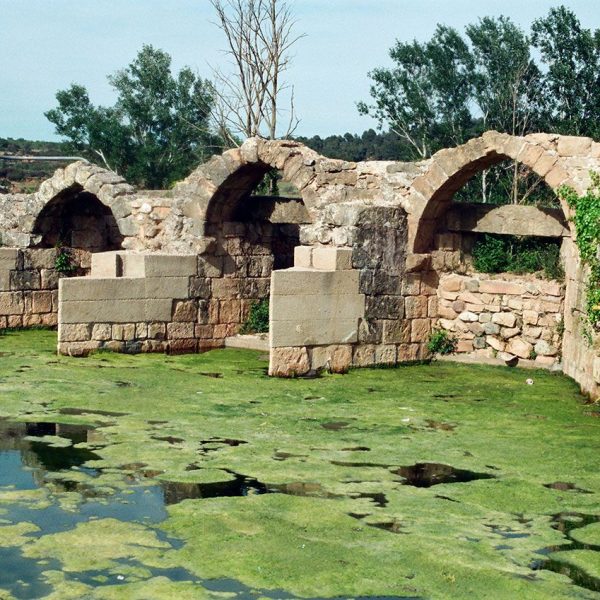 Montblanc.- Molí de les Voltes format per quatre molins moguts per força hidràulica – Vista de la bassa proveïdora d’aigua (5/1995)