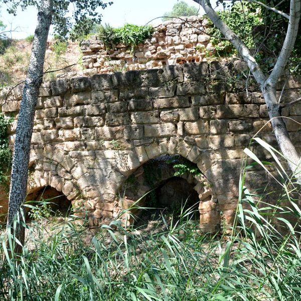 Montblanc.- Molí Xic en ruïnes malmès per les riuades a on encara es poden veure els desguassos de les turbines hidràuliques (6/2015)