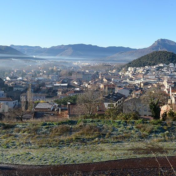 Olot.- Vista panoràmica (12/2016)