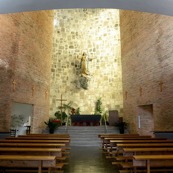 Olot.- Església de Sant Pere Màrtir. Consta d'una sola nau de pla inclinat. L'altar està presidit per la figura de l'Ascensió de la Verge (1/2018)