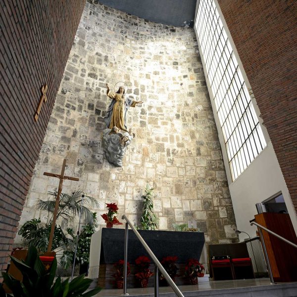 Olot.- Església de Sant Pere Màrtir. Consta d'una sola nau de pla inclinat. L'altar està presidit per la figura de l'Ascensió de la Verge (1/2018)