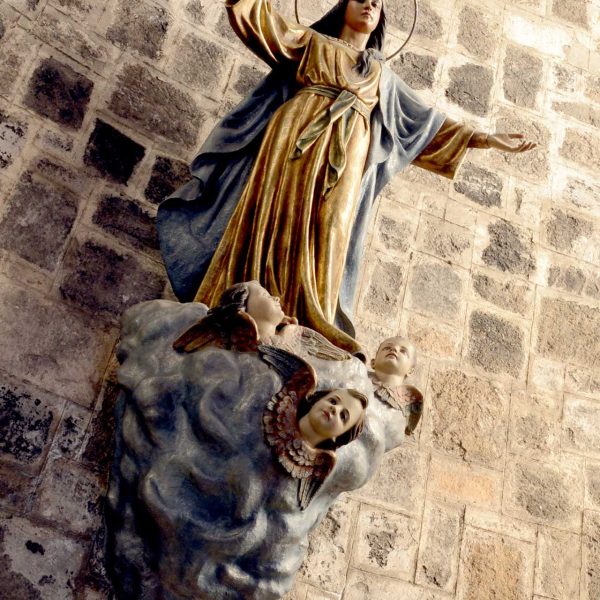 Olot.- Església de Sant Pere Màrtir. Consta d'una sola nau de pla inclinat. L'altar està presidit per la figura de l'Ascensió de la Verge (1/2018)