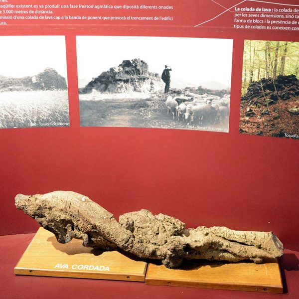 Olot.- Museu dels Volcans (Torre Castanys). Sales on es divulguen els fenòmens sísmics, vulcanològics i ecosistemes de la comarca (12/2016)