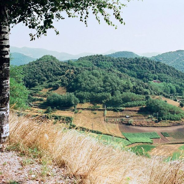 Olot.- Volcà Garrinada que compta amb tres cràters. Té una base circular de 800 Mts. i una alçada de 116 Mts. (7/1996)