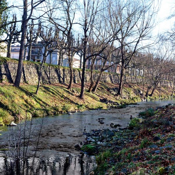 Olot.- Parc de Sant Roc amb el riu Fluvià aigües avall del Pont del mateix nom (2/2017)