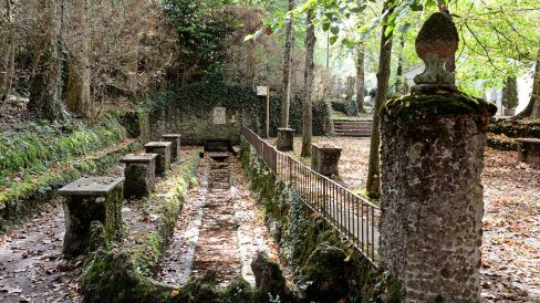 Olot.- Font de la Moixina. Es una zona de reserva integral d'interès geobotànic amb varietat de flora i fauna (10/2017)