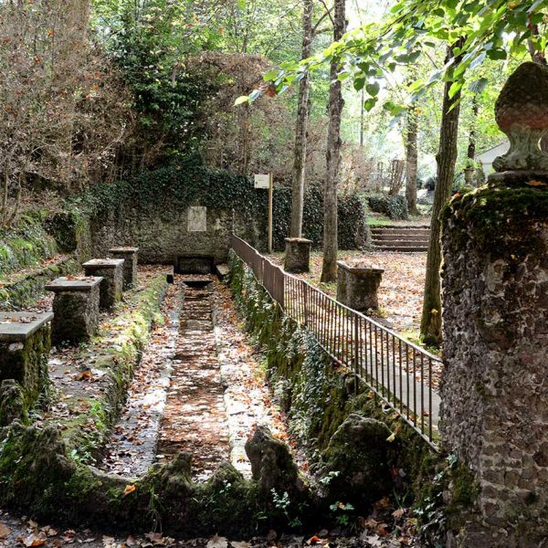 Olot.- Font de la Moixina. Es una zona de reserva integral d'interès geobotànic amb varietat de flora i fauna (10/2017)