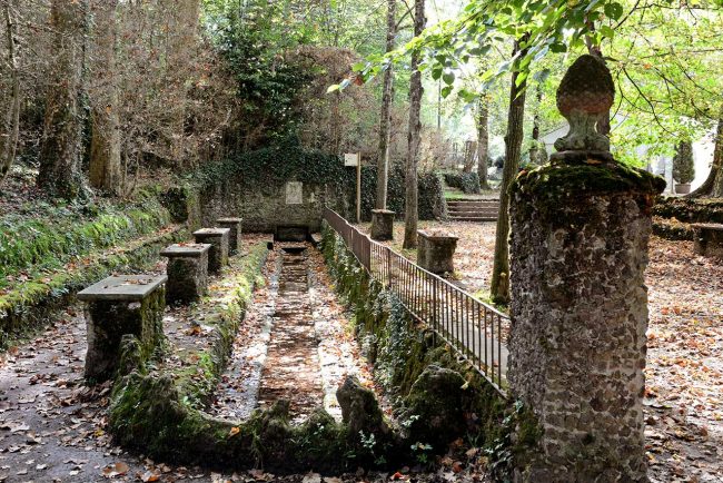 Olot.- Font de la Moixina. Es una zona de reserva integral d'interès geobotànic amb varietat de flora i fauna (10/2017)