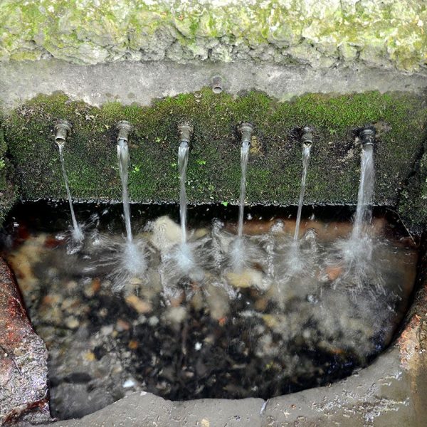 Olot.- Font de la Moixina. Es una zona de reserva integral d'interès geobotànic amb varietat de flora i fauna (10/2017)