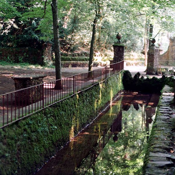 Olot.- Font de la Moixina. Es una zona de reserva integral d'interès geobotànic amb varietat de flora i fauna (6/1996)