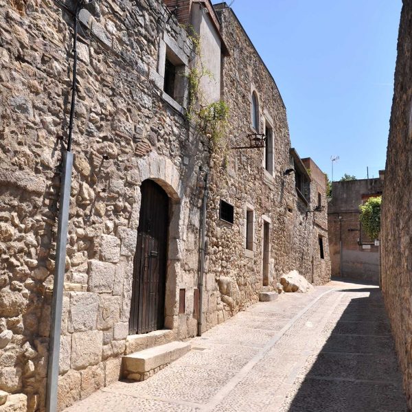 Girona.- Carrer dels Alemanys (5/2014)