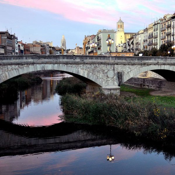 Girona.- Pont de Pedra del S. XIX que va substituir un altre del XIV. Es de tres arcs sostinguts per dos pilars amb tallamars rodons (11/2013)