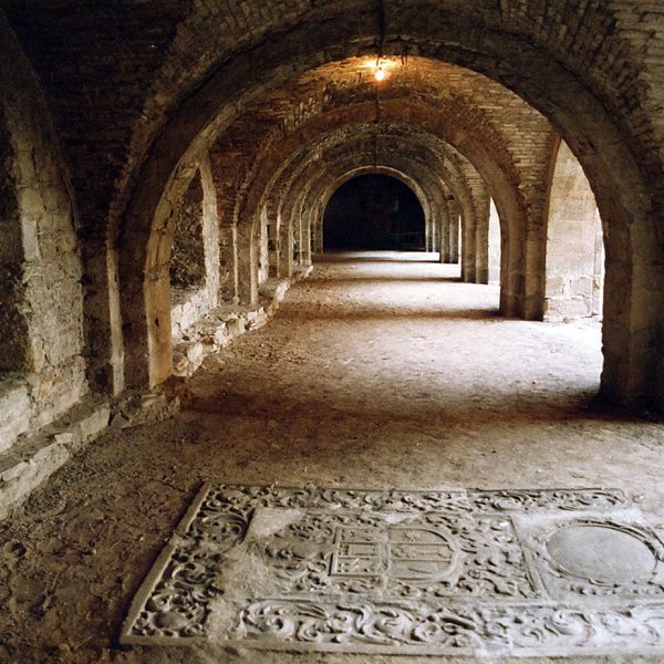 Vic.- Catedral de Sant Pere, S. XVIII/XIX. Compta amb dos claustres, l'inferior romànic del S. XII amb arcades de mig punt i al damunt el gòtic (9/1988)