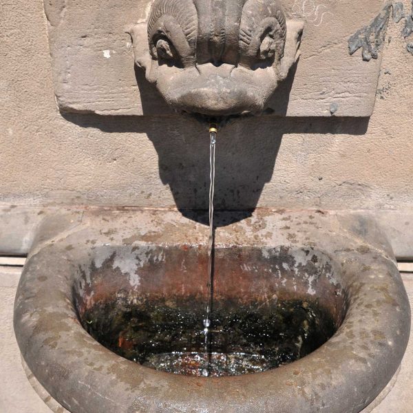 Lleida.- Font de la Plaça Berenguer IV del S. XVIII amb un sol brollador amb forma de dofí i pica semicircular (7/2011)