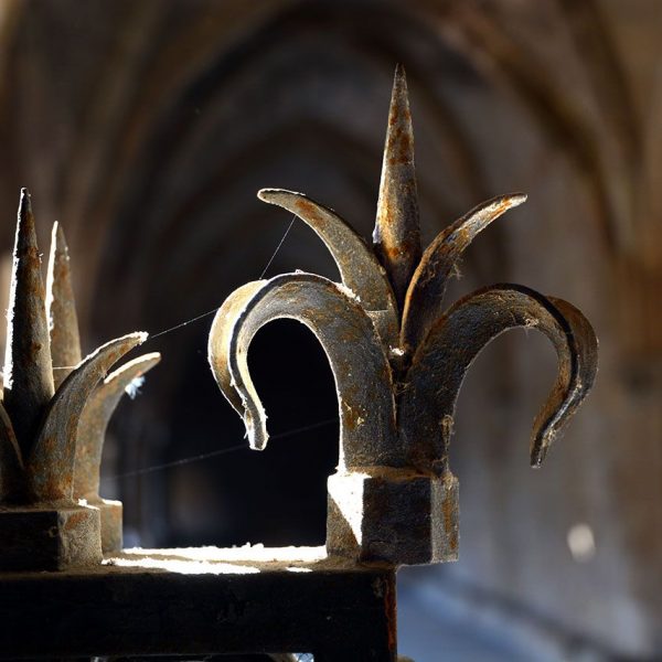 Tarragona.- Catedral de Santa Maria. Claustre dels S. XII/XIII. Reixa de ferro forjat (12/2017)