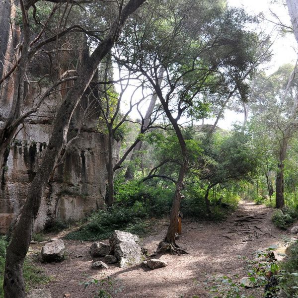 Tarragona.- Pedrera romana del Mèdol. Depressió artificial deguda a l’extracció de roca en època romana calculada en uns 30.000 m3. de pedra (10/2012)