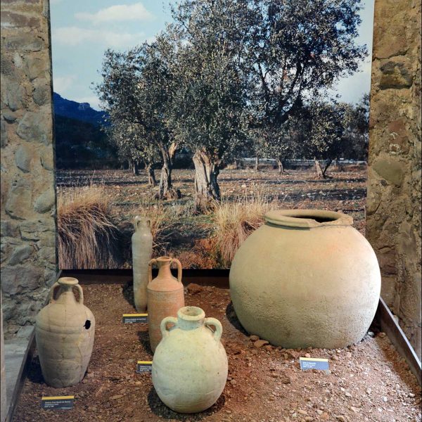 Terrassa.- Castell-Cartoixa de Vallparadís, S. XII/XIV – Museu inaugurat l’any 1959 – Exposició d’Àmfores i Dòlies (9/2018)