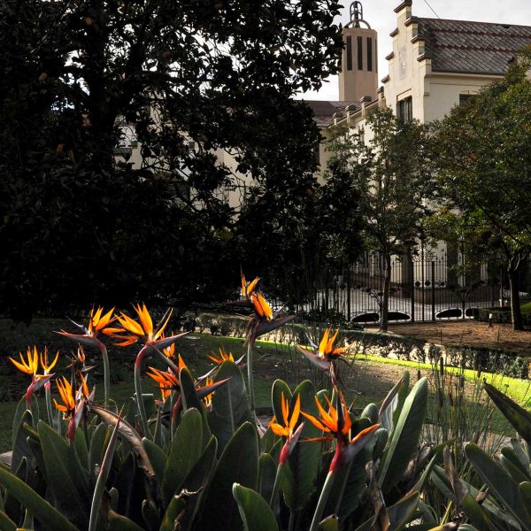 Terrassa.- Casa Alegre de Terrassa – Varis aspectes dels jardins (10/2012)