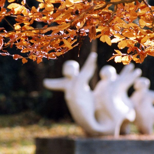 Olot.- Parc de les Mores (12/1889)