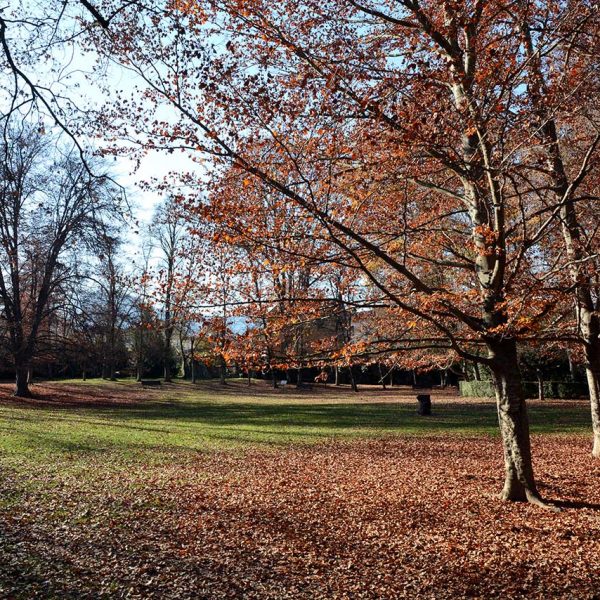 Olot.- Parc Municipal correspon a l'antiga finca on es troba la Torre Castanys (Museu dels Volcans) (12/2016)
