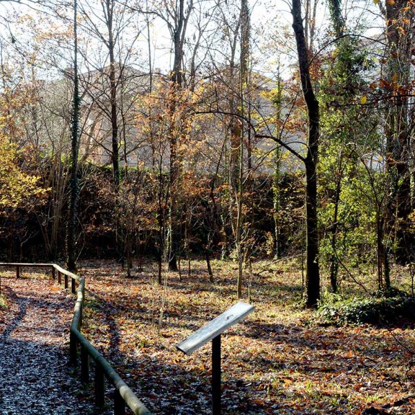 Olot.- Parc Municipal correspon a l'antiga finca on es troba la Torre Castanys (Museu dels Volcans) (12/2016)