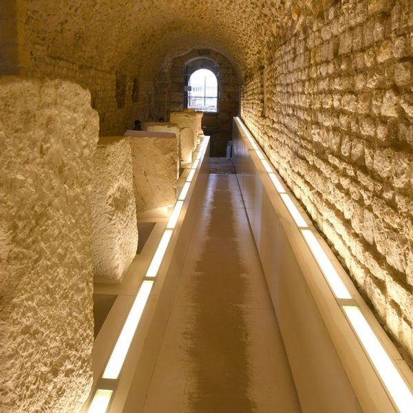 Tarragona.- Fòrum Provincial - Volta inferior del fòrum amb una mostra de pedestals amb inscripcions de varies personatges (3/2022)