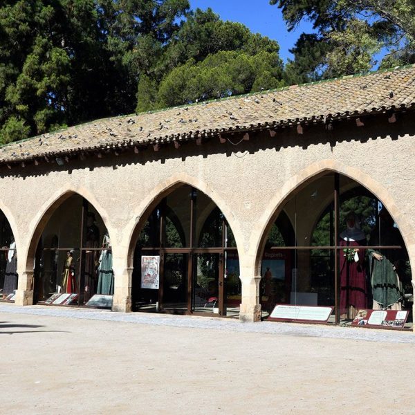 G131 Tortosa.- Llotja del Gra, edifici gòtic fet entre 1368 i 1373 com dipòsit de mercaderies. L’edifici actual consta de dues naus separades per tres grans arcades ogivals (7/2022)