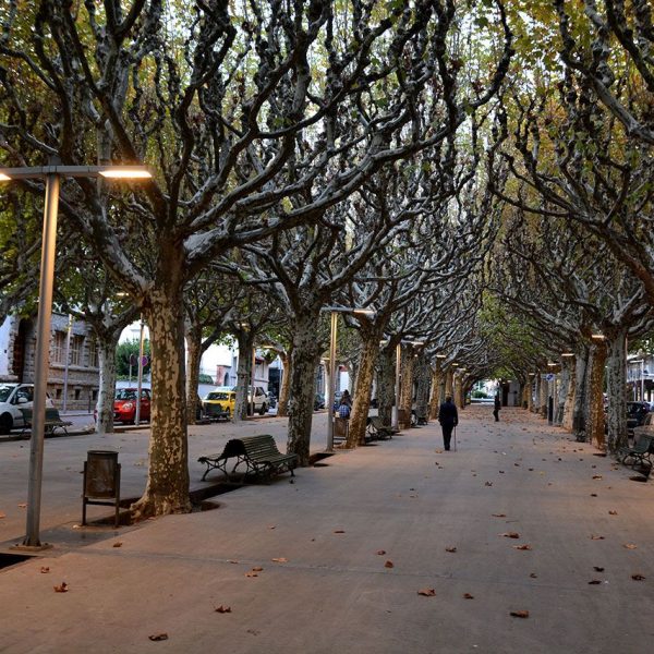 La Seu d'Urgell.- Passeig Brudieu (10/2015)