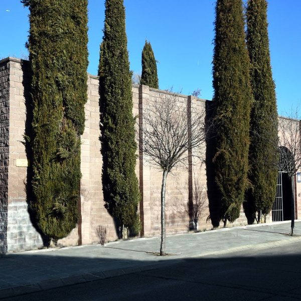 La Seu d’Urgell.- Claustre Lluís Racionero inaugurat de l’any 1990 de planta quadrada on destaquen els capitells esculturats per Manuel Cusachs (2/2025)