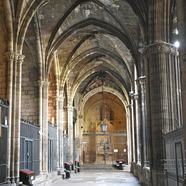 Barcelona.- Catedral de la Santa Creu i Santa Eulàlia – Claustre de quatre galeries cobertes amb voltes ogivals envoltat de capelles i grans finestrals gòtics acabat l’any 1448 (1/2026)