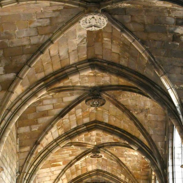 Barcelona.- Catedral de la Santa Creu i Santa Eulàlia – Claustre de quatre galeries cobertes amb voltes ogivals (1/2026)