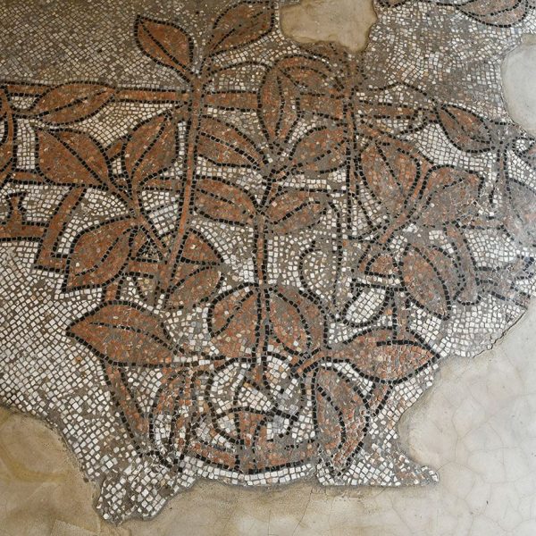 Terrassa.- Teatre Principal, edifici d’estil eclèctic construït el 1866 – Sòl amb restes de mosaic de caràcter floral fet de tessel·les (5/2026)