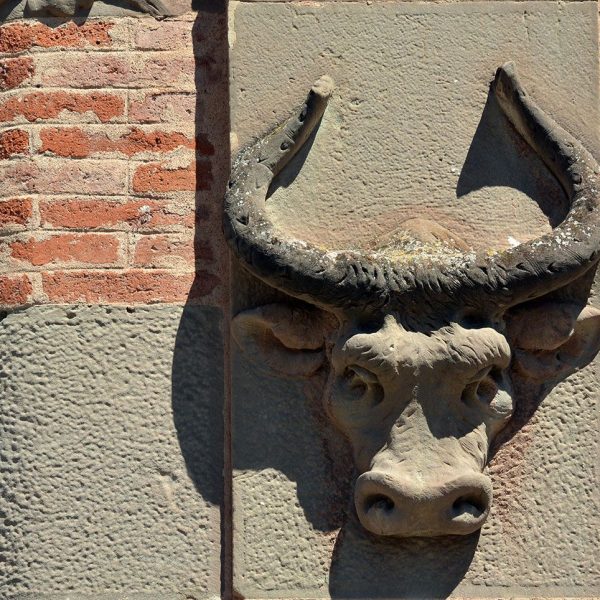 Manresa.- Antic Escorxador (1906-1908) d’estil modernista – Detall d’uns dels cap de bovins que decora el pilar de la posta (8/2014)